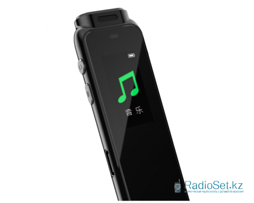 Диктофон Philips VTR5010 16 GB